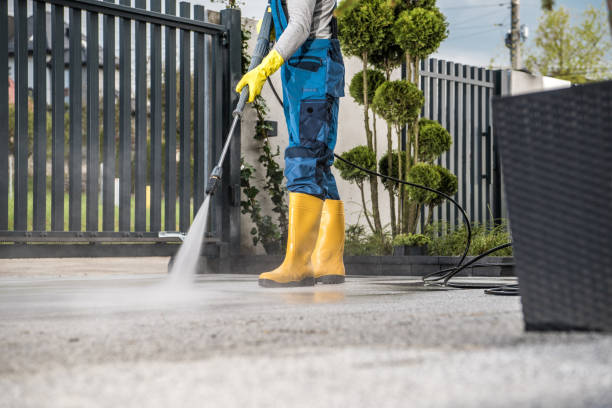 Best Dumpster Area Cleaning  in Meadow Les, AK