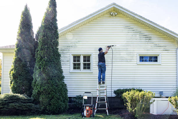 Best Patio and Deck Pressure Washing  in Meadow Les, AK